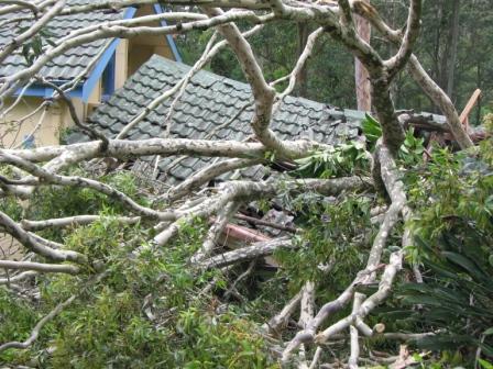 img_1301a1 img_1301a1